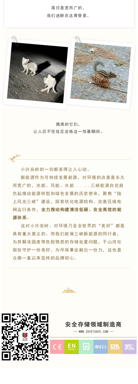 做小兴安岭绿色能源之乡的守护者(图4)